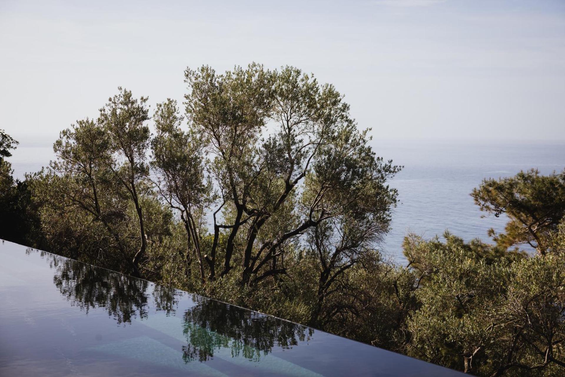 Five Olive Dream Trip Villa Plomari Ngoại thất bức ảnh