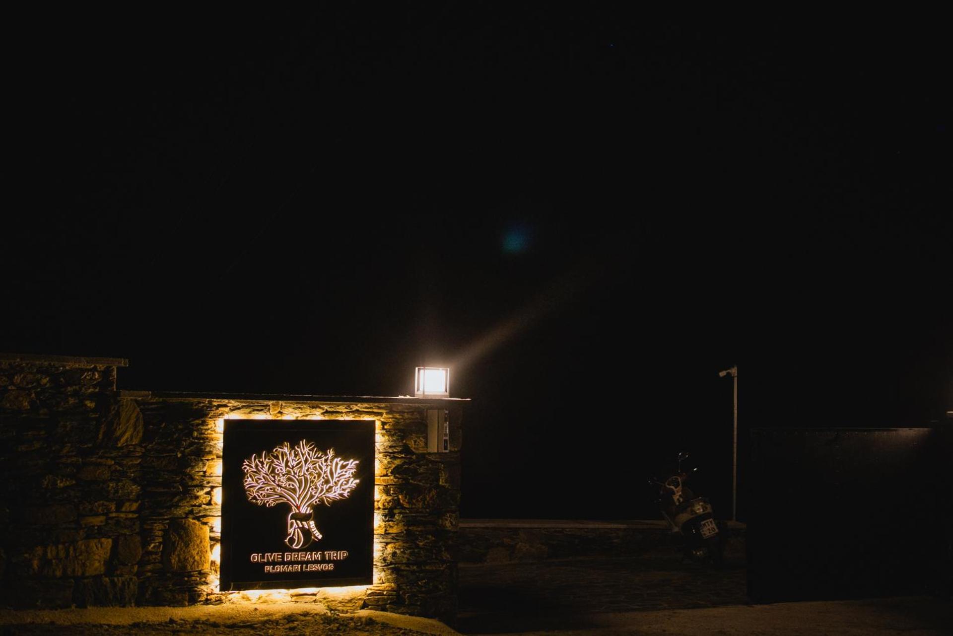 Five Olive Dream Trip Villa Plomari Ngoại thất bức ảnh