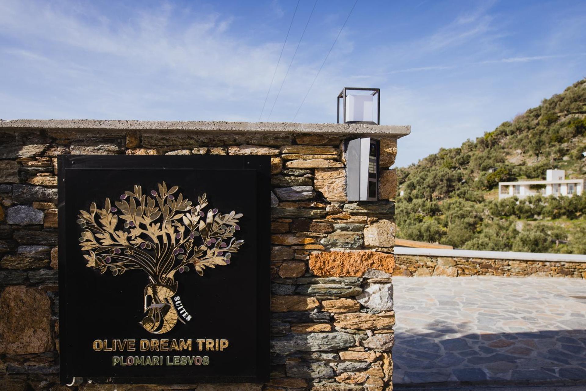 Five Olive Dream Trip Villa Plomari Ngoại thất bức ảnh